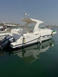 WhatsApp Image 2025-11-14 at 3.13.49 PM