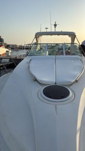 WhatsApp Image 2025-11-14 at 3.13.50 PM