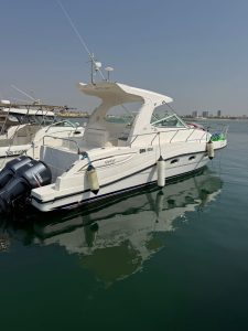 WhatsApp Image 2025-11-14 at 3.13.52 PM (1)