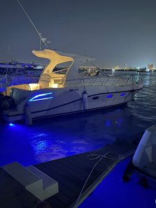 WhatsApp Image 2025-11-14 at 3.13.53 PM